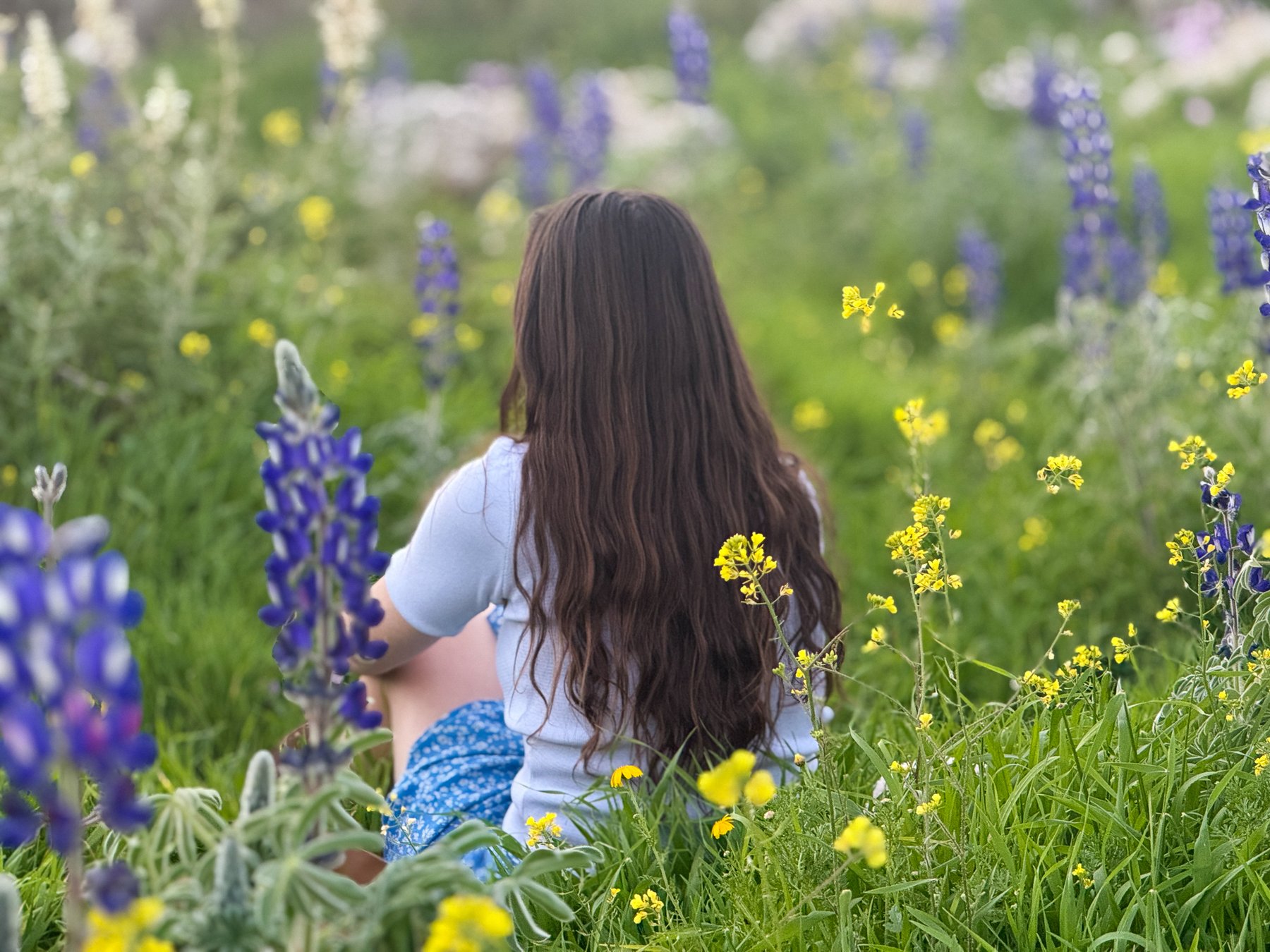 A young woman sitting among lupines in the Judean hills